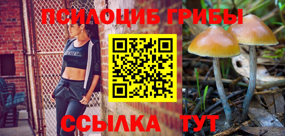 Галлюциногенные грибы Magic Shrooms Богородск