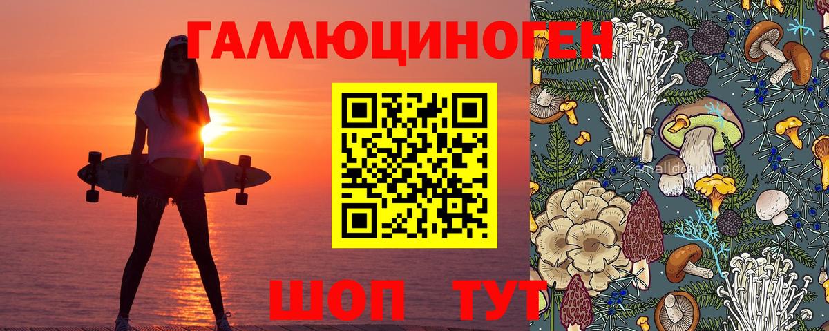 Галлюциногенные грибы мухоморы  Псилоцибиновые грибы MAGIC MUSHROOMS  Богородск  Вход с VPN 